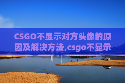 CSGO不显示对方头像的原因及解决方法,csgo不显示对方头像图标