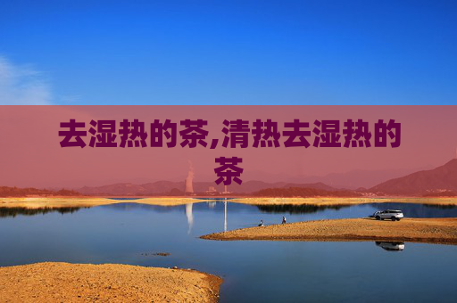 去湿热的茶,清热去湿热的茶