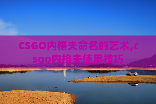 CSGO内格夫命名的艺术,csgo内格夫使用技巧