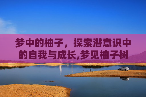 梦中的柚子，探索潜意识中的自我与成长,梦见柚子树上结了好多柚子
