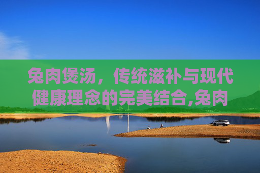 兔肉煲汤，传统滋补与现代健康理念的完美结合,兔肉煲汤放什么药材好