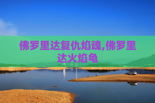 佛罗里达复仇焰魂,佛罗里达火焰龟