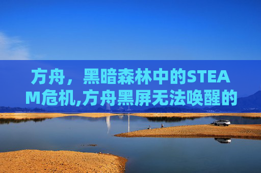 方舟，黑暗森林中的STEAM危机,方舟黑屏无法唤醒的原因