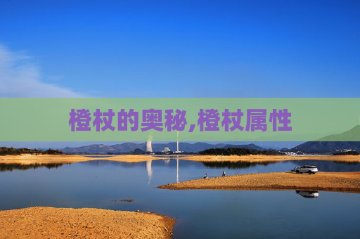 橙杖的奥秘,橙杖属性