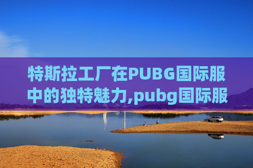 特斯拉工厂在PUBG国际服中的独特魅力,pubg国际服特斯拉工厂在哪