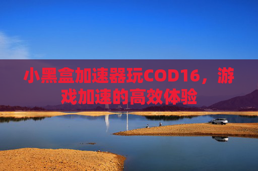 小黑盒加速器玩COD16，游戏加速的高效体验