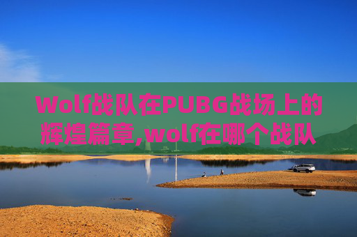 Wolf战队在PUBG战场上的辉煌篇章,wolf在哪个战队