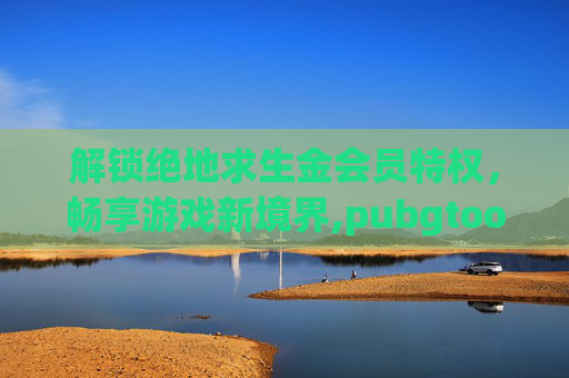 解锁绝地求生金会员特权，畅享游戏新境界,pubgtool会员