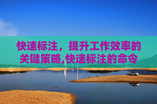 快速标注，提升工作效率的关键策略,快速标注的命令是什么