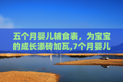 五个月婴儿辅食表，为宝宝的成长添砖加瓦,7个月婴儿辅食表