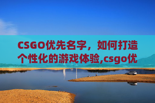 CSGO优先名字，如何打造个性化的游戏体验,csgo优先账号怎么弄