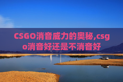 CSGO消音威力的奥秘,csgo消音好还是不消音好