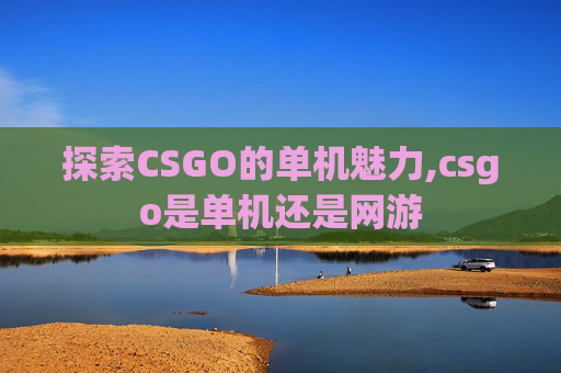 探索CSGO的单机魅力,csgo是单机还是网游