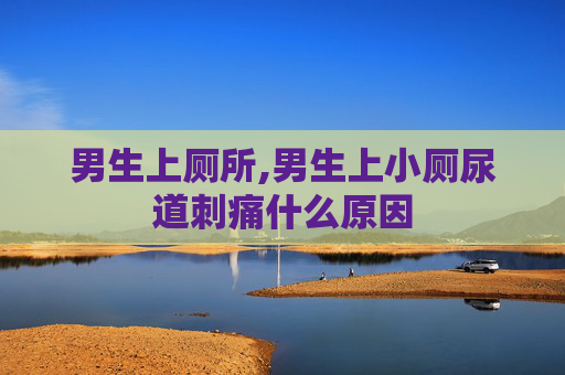 男生上厕所,男生上小厕尿道刺痛什么原因