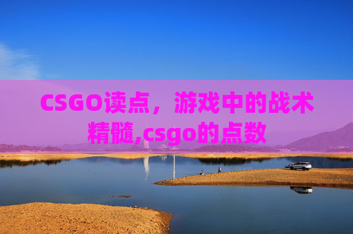CSGO读点，游戏中的战术精髓,csgo的点数