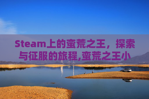 Steam上的蛮荒之王，探索与征服的旅程,蛮荒之王小说