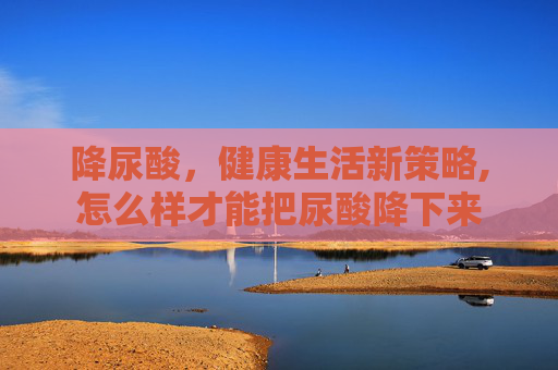 降尿酸，健康生活新策略,怎么样才能把尿酸降下来