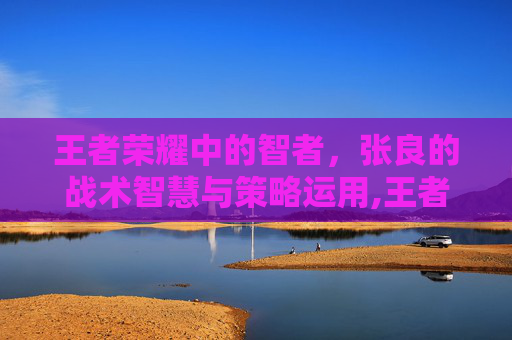 王者荣耀中的智者，张良的战术智慧与策略运用,王者荣耀 张良