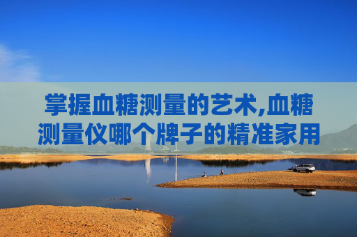 掌握血糖测量的艺术,血糖测量仪哪个牌子的精准家用