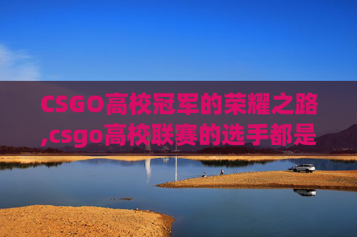 CSGO高校冠军的荣耀之路,csgo高校联赛的选手都是什么段位的