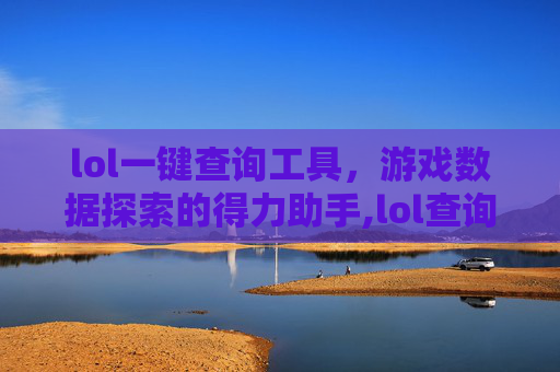 lol一键查询工具，游戏数据探索的得力助手,lol查询器