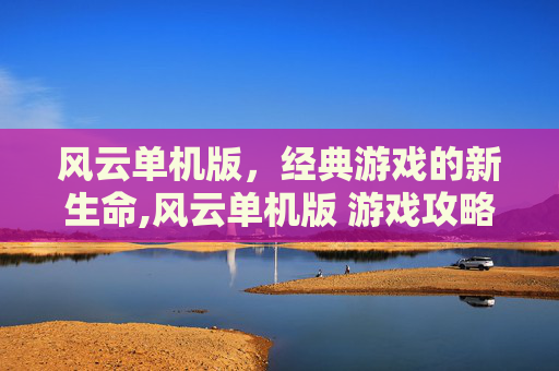 风云单机版，经典游戏的新生命,风云单机版 游戏攻略