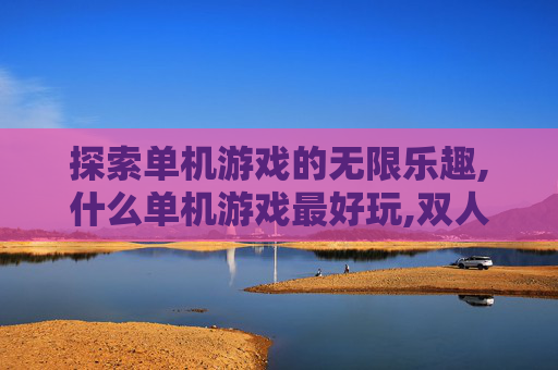 探索单机游戏的无限乐趣,什么单机游戏最好玩,双人版