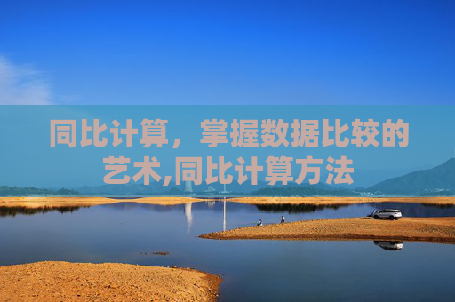 同比计算，掌握数据比较的艺术,同比计算方法