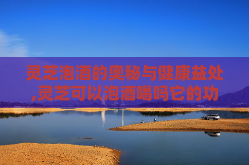 灵芝泡酒的奥秘与健康益处,灵芝可以泡酒喝吗它的功效是什么