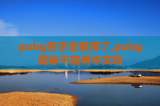 pubg名字全被用了,pubg昵称不能用中文吗