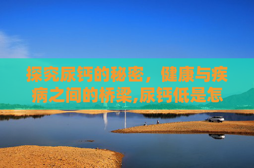 探究尿钙的秘密，健康与疾病之间的桥梁,尿钙低是怎么回事有何影响