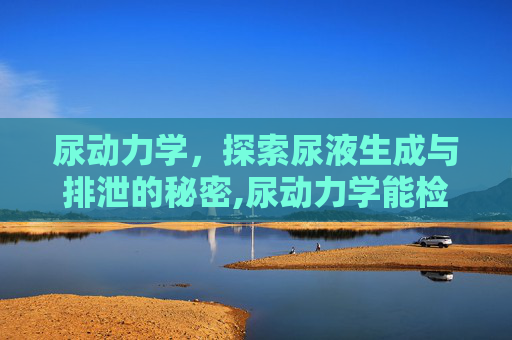 尿动力学，探索尿液生成与排泄的秘密,尿动力学能检查出什么
