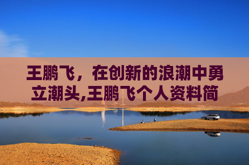 王鹏飞，在创新的浪潮中勇立潮头,王鹏飞个人资料简介图片
