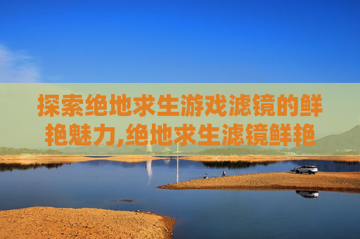 探索绝地求生游戏滤镜的鲜艳魅力,绝地求生滤镜鲜艳