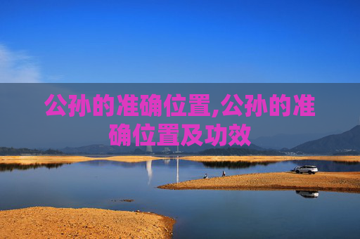 公孙的准确位置,公孙的准确位置及功效