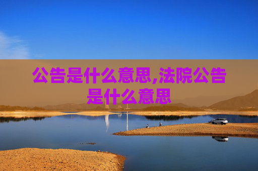 公告是什么意思,法院公告是什么意思