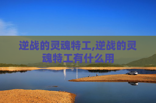 逆战的灵魂特工,逆战的灵魂特工有什么用
