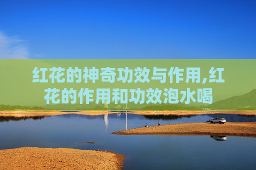 红花的神奇功效与作用,红花的作用和功效泡水喝