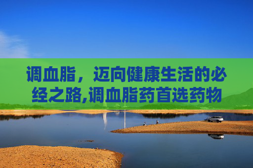 调血脂，迈向健康生活的必经之路,调血脂药首选药物