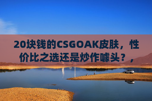 20块钱的CSGOAK皮肤，性价比之选还是炒作噱头？,csgo30元ak皮肤