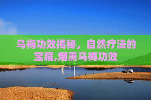 乌梅功效揭秘，自然疗法的宝藏,烟熏乌梅功效