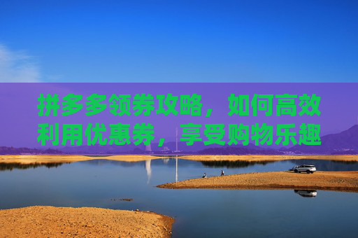 拼多多领券攻略，如何高效利用优惠券，享受购物乐趣,拼多多领券助手怎么添加到桌面