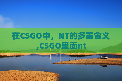 在CSGO中，NT的多重含义,CSGO里面nt