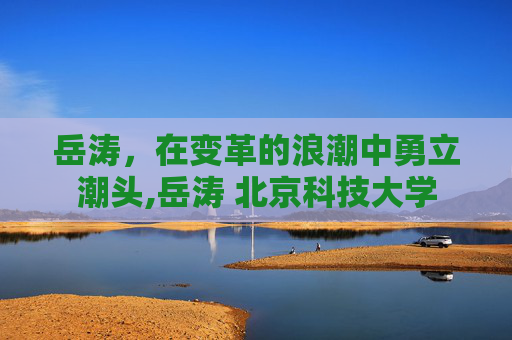 岳涛，在变革的浪潮中勇立潮头,岳涛 北京科技大学