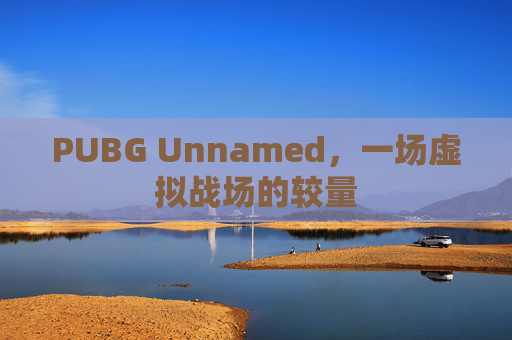 PUBG Unnamed，一场虚拟战场的较量