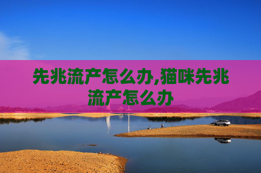 先兆流产怎么办,猫咪先兆流产怎么办 先兆流产怎么办,猫咪先兆流产怎么办