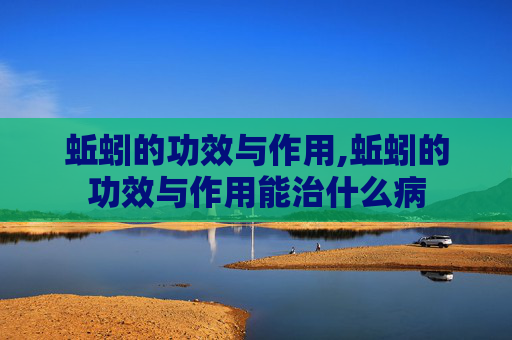 蚯蚓的功效与作用,蚯蚓的功效与作用能治什么病