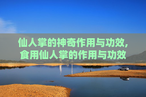 仙人掌的神奇作用与功效,食用仙人掌的作用与功效