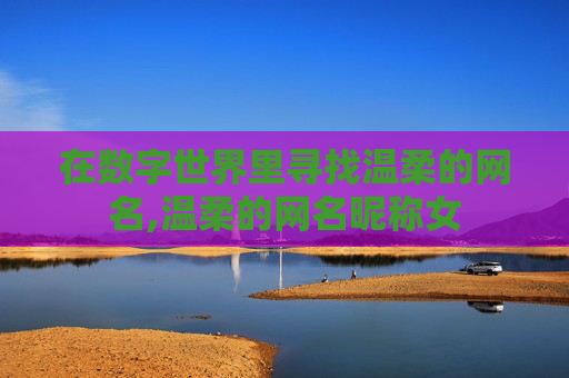 在数字世界里寻找温柔的网名,温柔的网名昵称女
