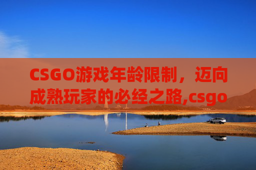 CSGO游戏年龄限制，迈向成熟玩家的必经之路,csgo必须满18岁吗?